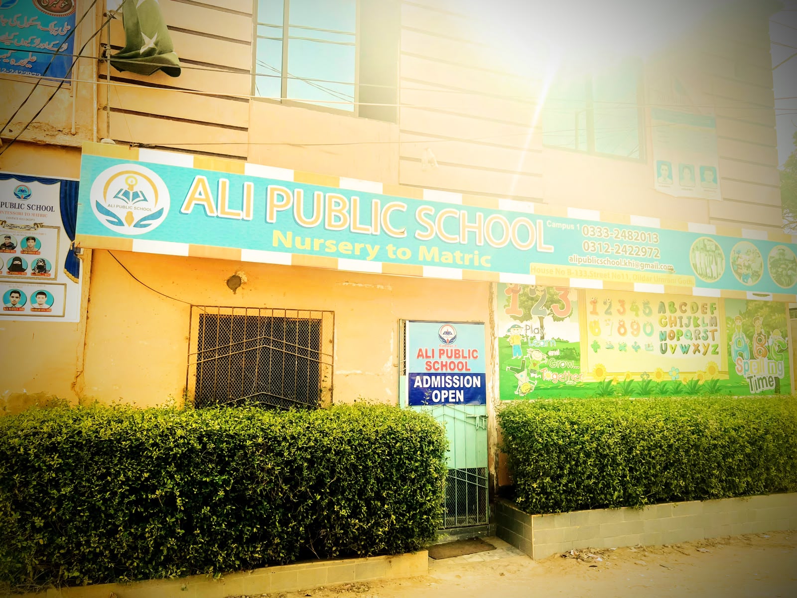 Ali Public School